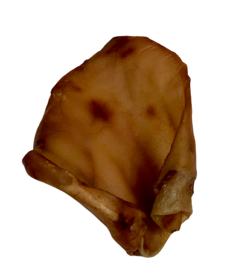 Australian Pig Ears Pack - Yum Dog Treats - From $29.50! Shop Now